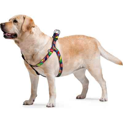 Шлей для собак WAUDOG Nylon с QR паспортом анатомически "Витраж" S (4605) Винница