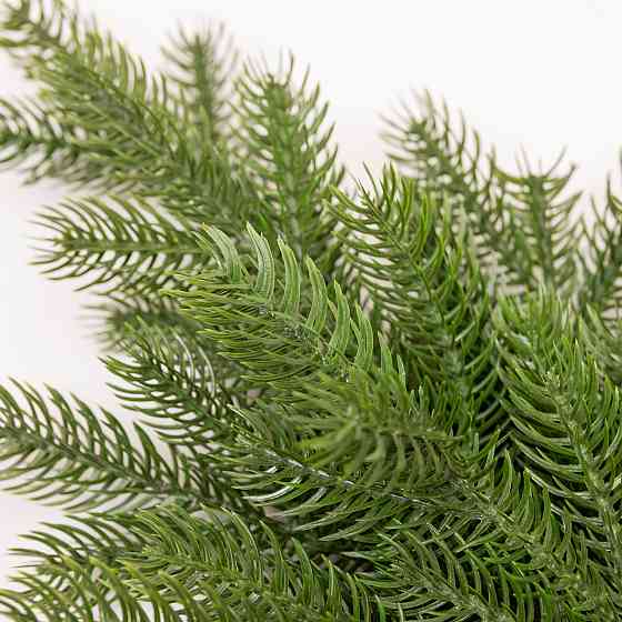 Новорічна хвойна гірлянда лита зелена Північна зірка 60*35 см TD-NSTGR1 Київ