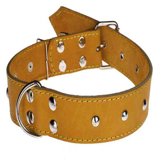 Нашийник 611 40мм "Класик" шкіряний прикрашений Вінниця