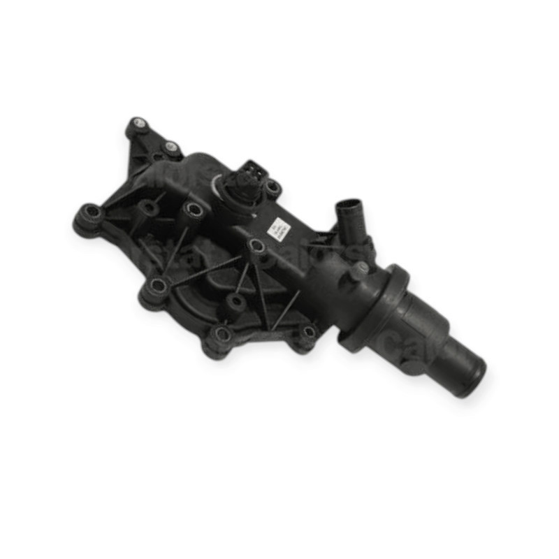 Термостат Kangoo (2007-), Megane II 1.6 (2002-) Renault Мукачево - изображение 1