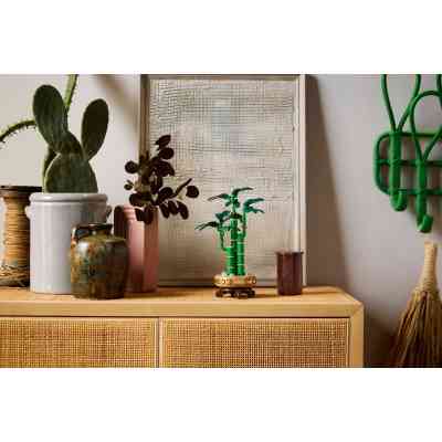 Конструктор LEGO Botanicals Бамбук щастя (10344) Вінниця