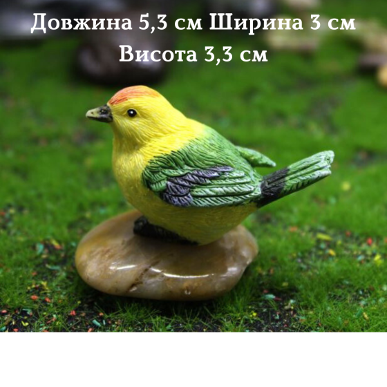 Декоративные фигурки Птички с гнездом для мини-сада кашпо флорариума микроландшафта рокария Набор Одесса