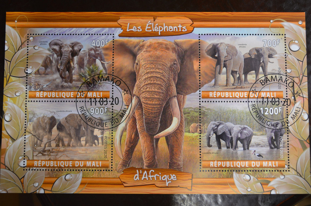 Мали. Марки. Фауна. Блок. 2020 год (В-2) Полтава - изображение 1