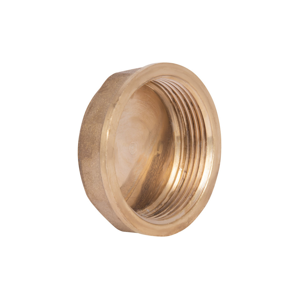 Заглушка Thermo Alliance Standart 1 1/2" ВР SD40240 Київ - фото 8