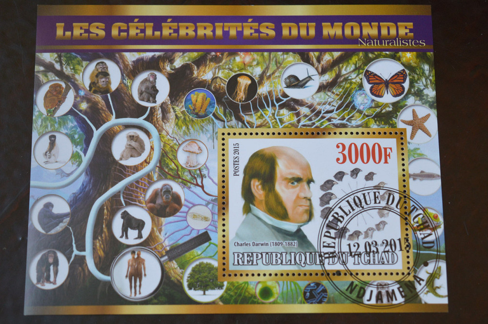 Чад. История. Личности. Блок. 2010 год (Б-4) Полтава - изображение 1