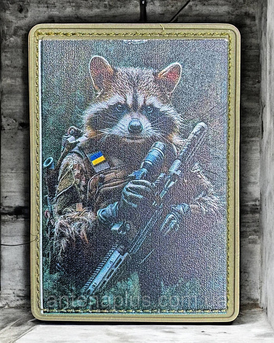 Боевой Енот патч / шеврон Киев - изображение 1