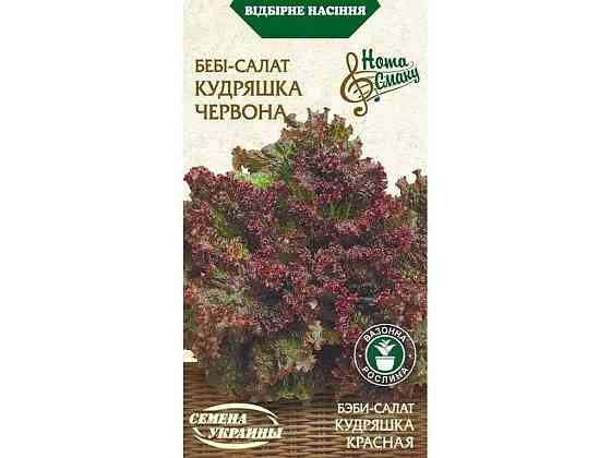 Салат-бебі КУДРЯШКА ЧЕРВОНА НВ 1г (20 пачок) ТМ СЕМЕНА УКРАИНЫ   Solmir Київ
