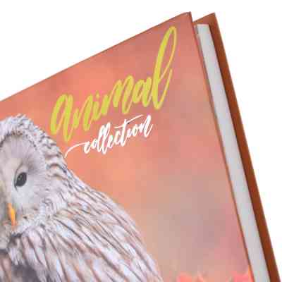 Блокнот Yes 140*185/96 л "Wild force" линия (151483) Винница