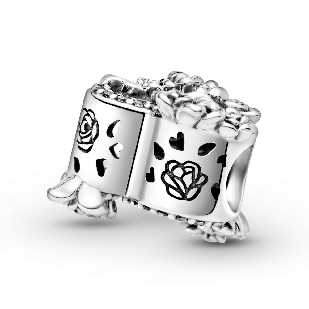 Серебряный шарм Пандора  