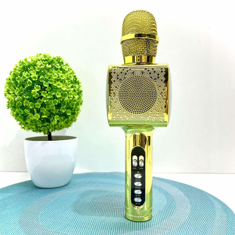 Мікрофон бездротової караоке bluetooth USB акумулятор TF слот 25см Золотистий (L20) Чернигов - изображение 1