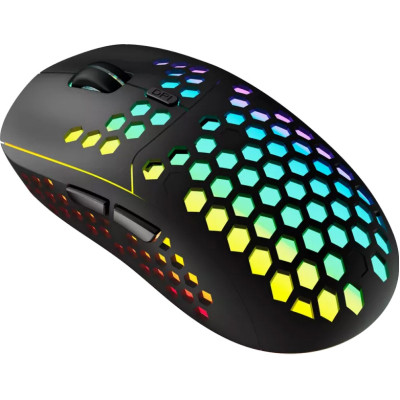 Мышка Canyon Haster GMW-18 Wireless Black (CND-SGMW18) Винница - изображение 1