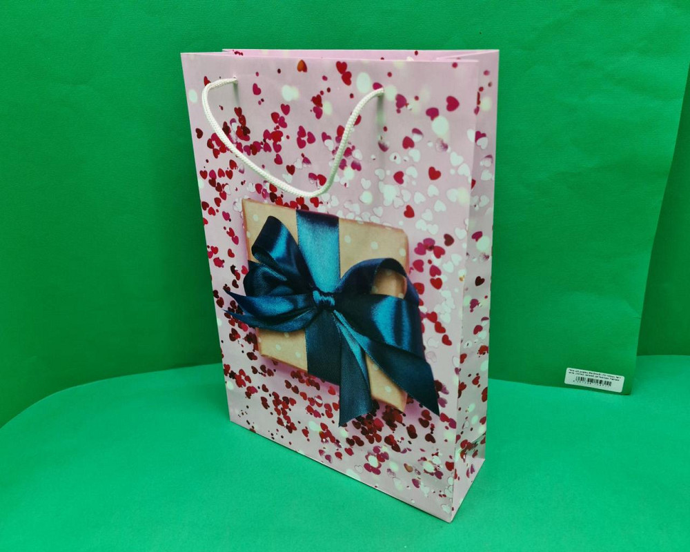 Великий паперовий пакет вертикальний 25/37/8 (артBV-122) (12 шт.) Харків - фото 1