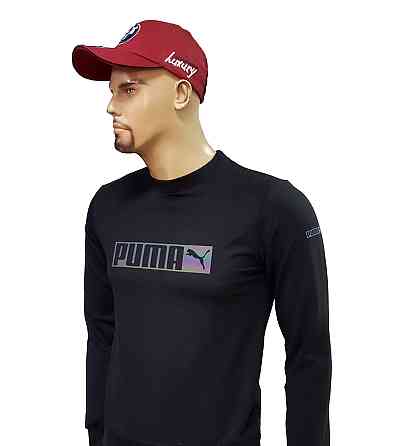 Мужской зимний батальный свитшот PUMA  ESSENTIALS+ FLEECE MEN'S HOODIE Киев