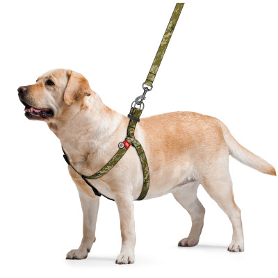 Шлей для собак WAUDOG Nylon с QR-паспортом "Милитари" L (332-4026) Винница - изображение 2