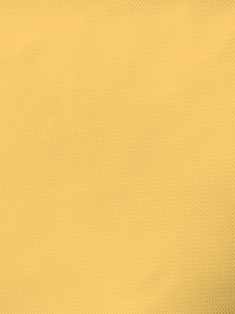 Купальник пропускает солнечный свет +SPF 50 Желтый L 2649986450 Днепр