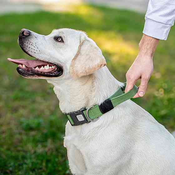 Ошейник для собак с ручкой хлопчатобумажная тесьма CoLLaR Брезент, пластиковый фастекс, L, Ш 35 мм, Длин 53-69 см Киев
