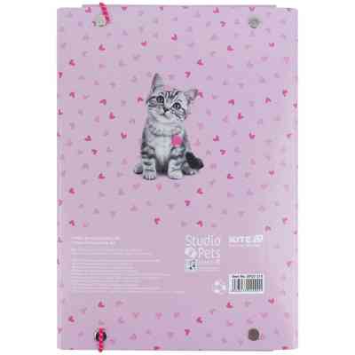 Папка для тетрадей Kite В5 на резинке Studio Pets (SP25-210) Винница