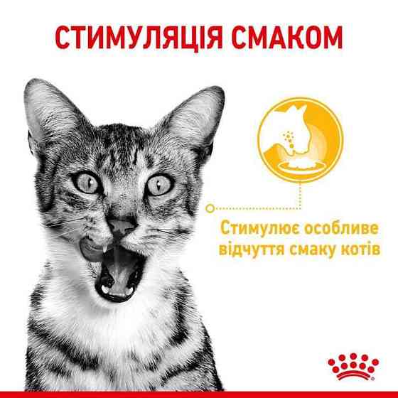Royal Canin Taste Gravy (Роял Канін Сенсорі Тейст шматочки) вологий корм для перебиральних кішок 85 г х 12 шт 85 г х 12 шт. Запоріжжя
