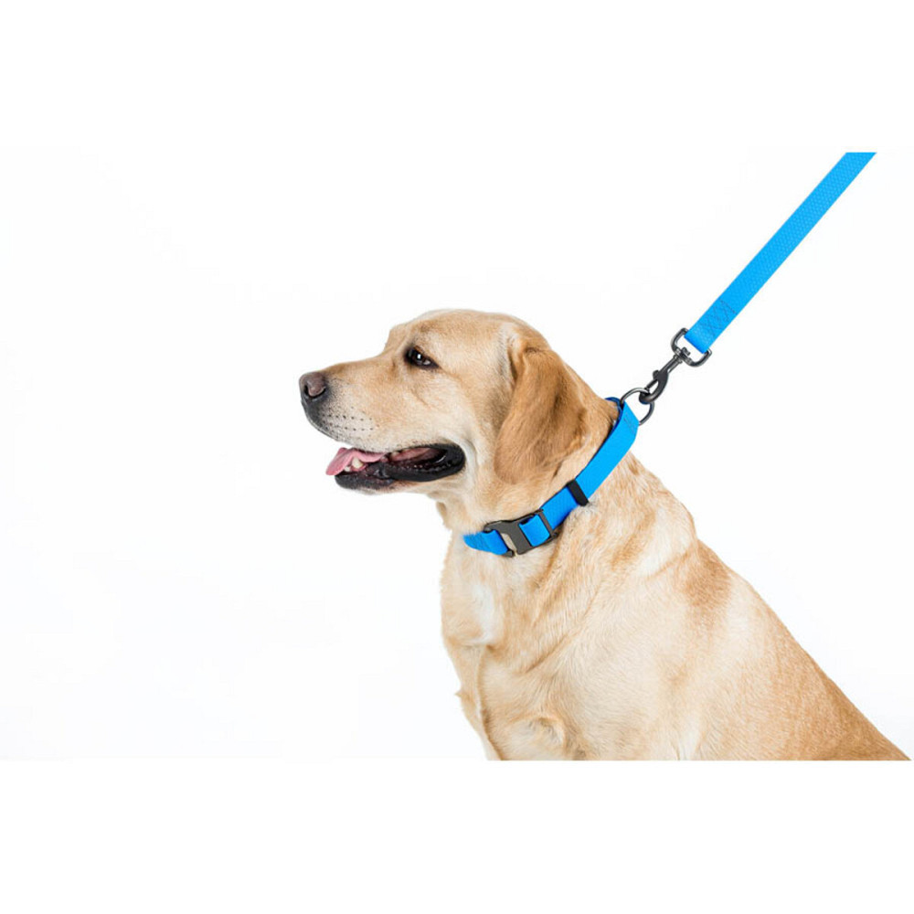 Повідець для собак водостійкий WAUDOG Waterproof, S, Ш 15 мм, Дов 183 см блакитний Київ - фото 4