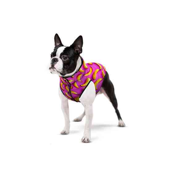 Курточка для собак WAUDOG Clothes малюнок "Банани на рожевому", S30, В 58-62 см, С 42-46 см Київ