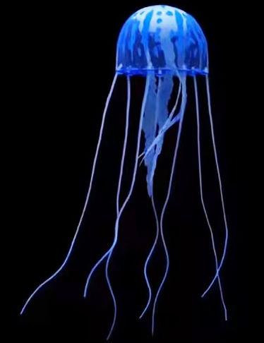 Светящиеся медузы для аквариума. Силиконовые декорации для аквариума Синий Киев - изображение 1