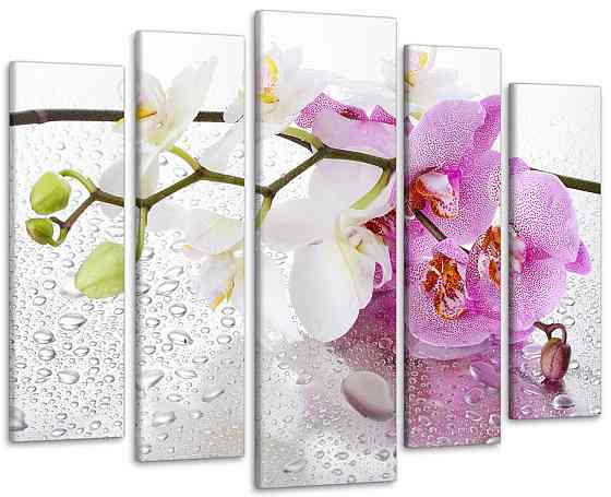 Модульна картина Орхідея Art-15_5 Київ