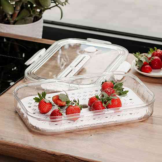 Контейнер для їжі пластиковий 32.5х22.5х6 см Білий HP-27-6 Коломия