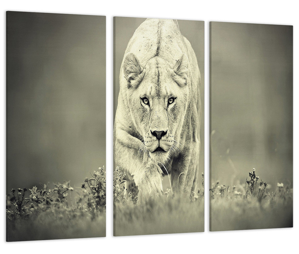 Модульная картина Львица на охоте Art-207_XXL 53x100 см Киев - изображение 1