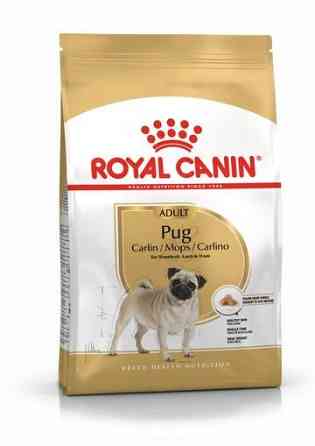 Роуал Canin Pug Adult (Рояв Канін Паг Едалт) сухий корм для дорослих собак породи мопс від 10 місяців 1,5 кілограма. Запоріжжя