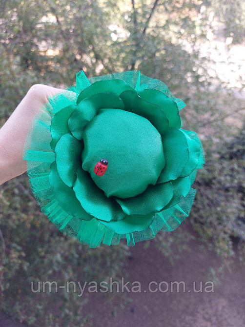 Костюм Капуста, ободок Капусты Кривой Рог - изображение 12