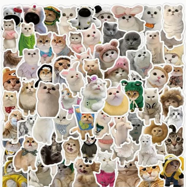 Наклейки Стікери Коти - Водонепроникні Вінілові Естетичні Наклейки з Котами для Пляшки Води, Комп'ют Київ - фото 2