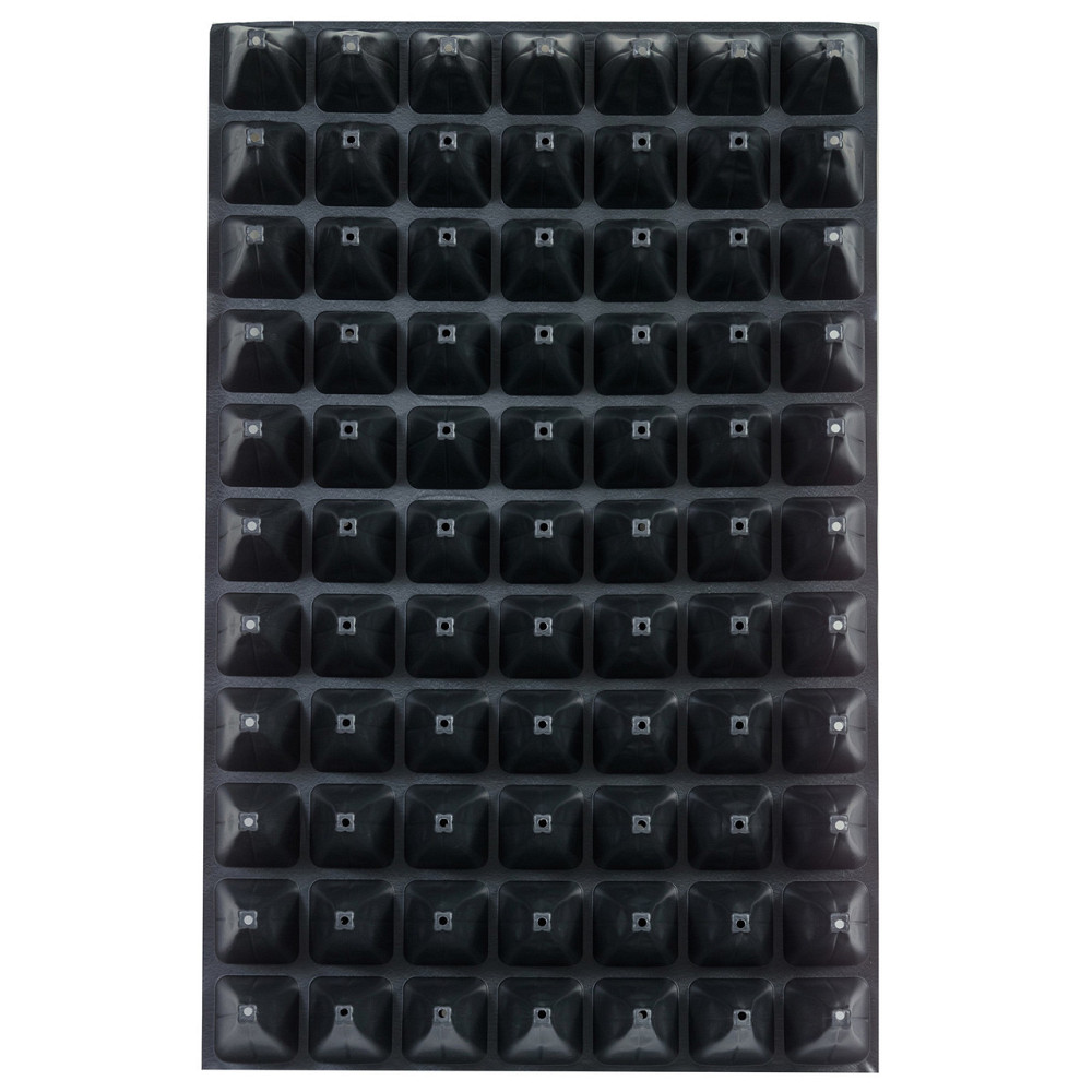 Касета для розсади 60*40 см 77 комірки Дніпро - фото 5