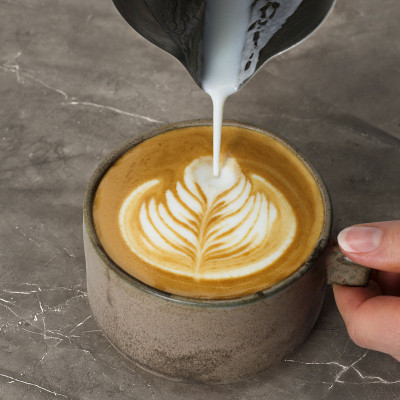 Ріжкова кавоварка еспресо Electrolux E8EC1-8BP Вінниця - фото 6