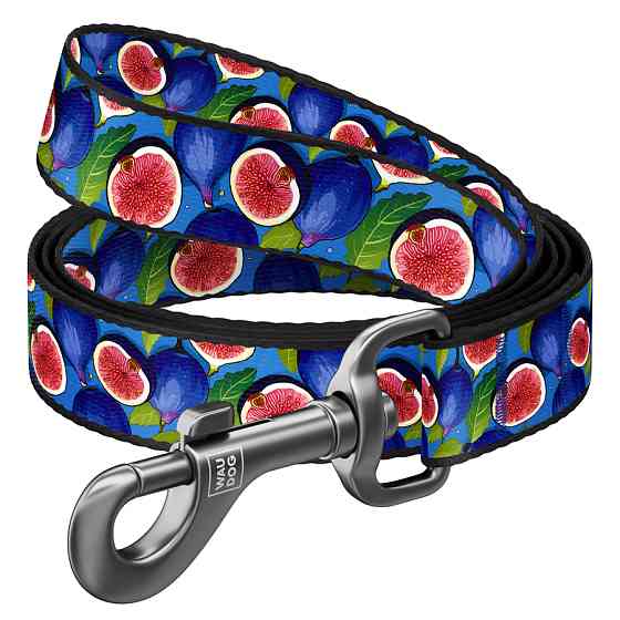 Повідець для собак нейлоновий WAUDOG Nylon, малюнок "Інжир", L-XXL, Ш 25 мм, Дов 122 см Коломия