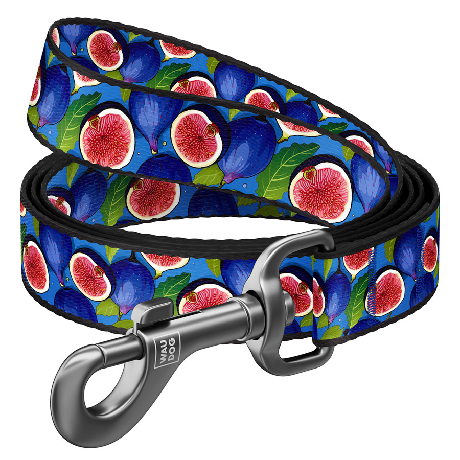 Повідець для собак нейлоновий WAUDOG Nylon, малюнок "Інжир", L-XXL, Ш 25 мм, Дов 122 см Коломыя - изображение 1