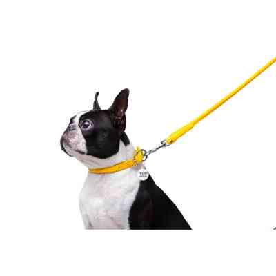 Поводок для собак WAUDOG Glamour круглый XS d 8 мм Д 122 см желтый (33778) Винница