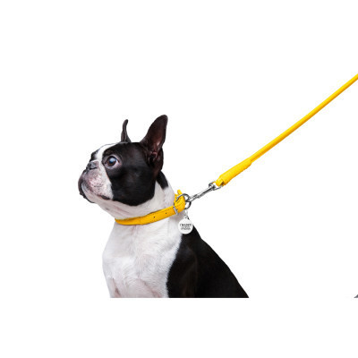 Повідок для собак WAUDOG Glamour круглий XS d 8 мм Д 122 см жовтий (33778) Вінниця - фото 6