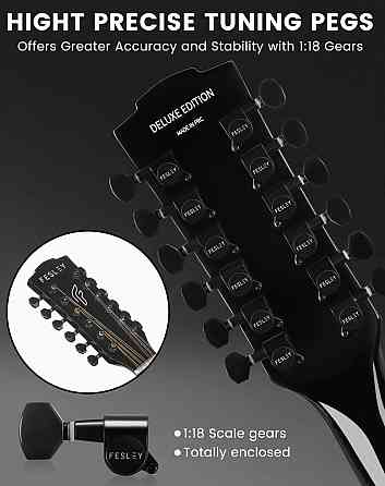 Гітара електро-акустична 12-тиструнна Fesley FDET280C (комплект) Харків