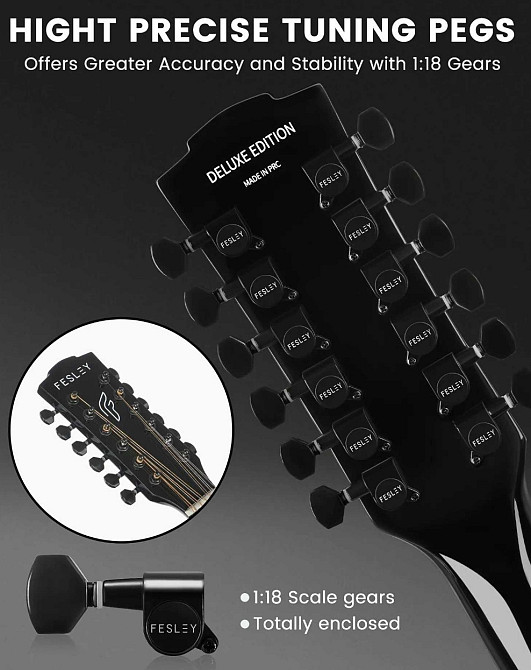 Гитара электро-акустическая 12-тититрунная Fesley FDET280C (комплект) Харьков - изображение 2