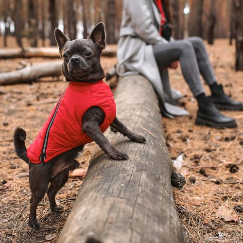 Жилет Pet Fashion E.Vest для собак червоний XS-2 Киев - изображение 4