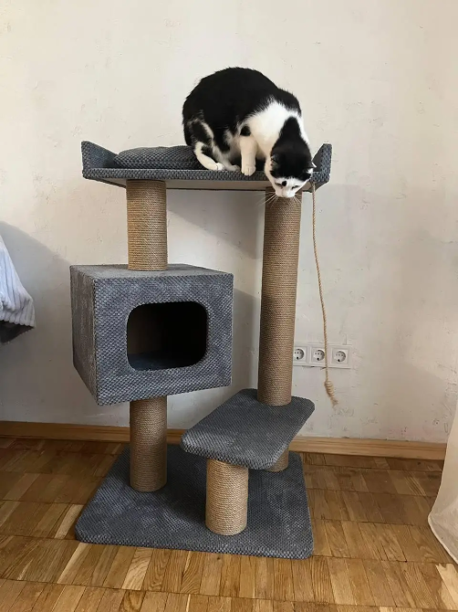 Когтеточка дряпка с домиком, лежанкой и подушкой 95×60×50 см для котов Киев - изображение 4