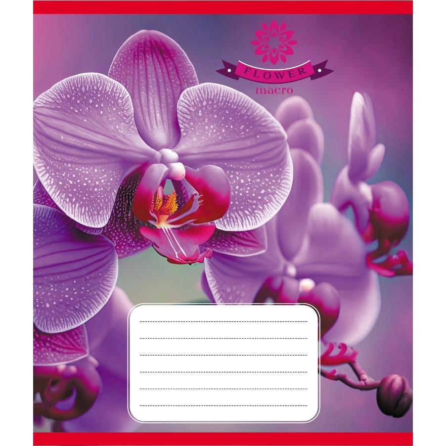 Тетрадь ученическая 