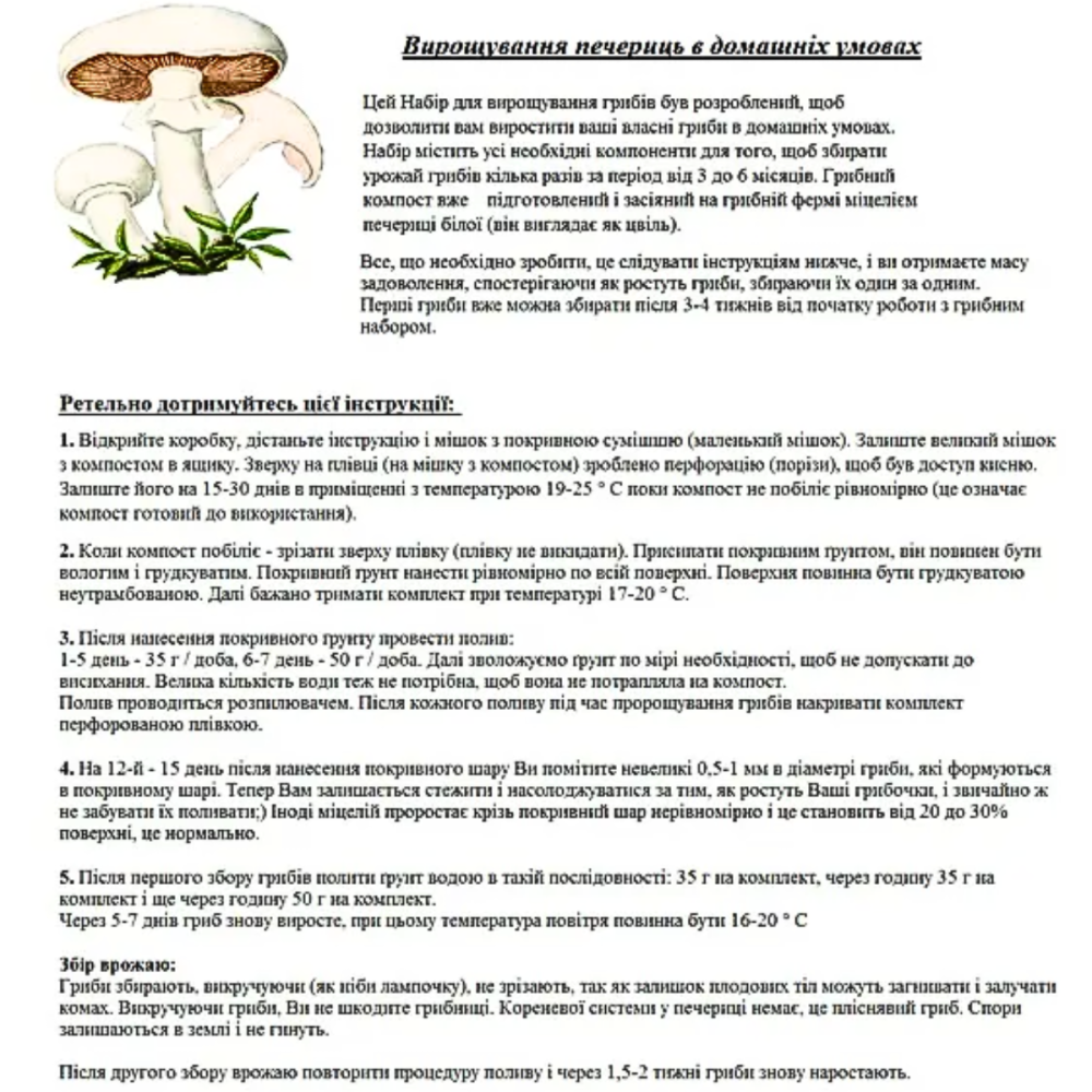 Грибний подарунковий набір для вирощування Білих печериць (6 коробок ) Харків - фото 9