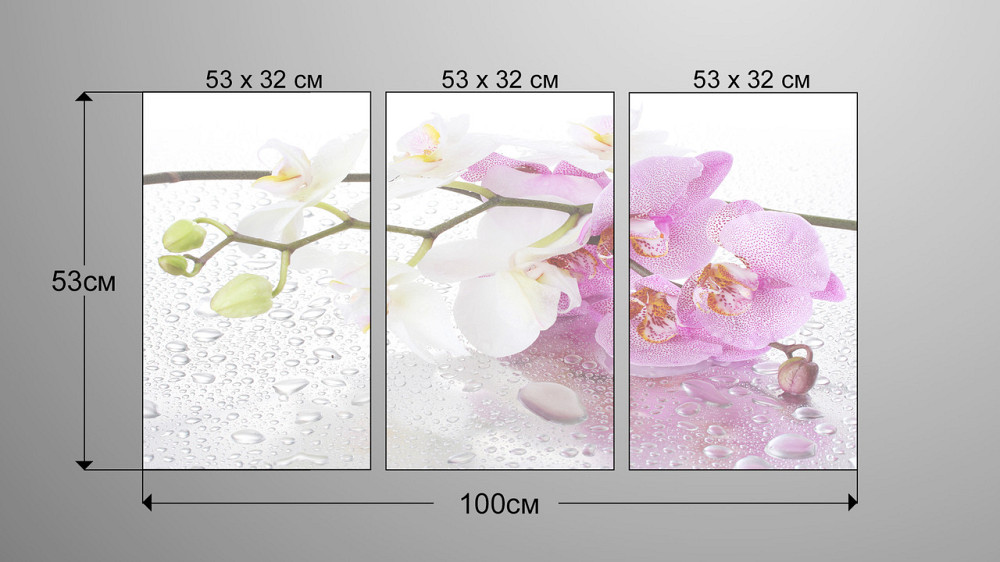 Модульна картина Квіти Орхідеї Art-15_3А Київ - фото 3