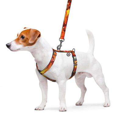 Шлей для собак WAUDOG Nylon H-образная с QR-паспортом "Скорость Флеша", пластиковый фастекс L (345-1080) Винница - изображение 4