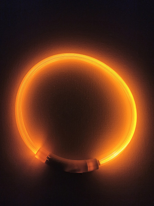 Светящийся ошейник для собак или котов с USB зарядкой имеет три режима свечения S 35 см желтый Киев - изображение 2