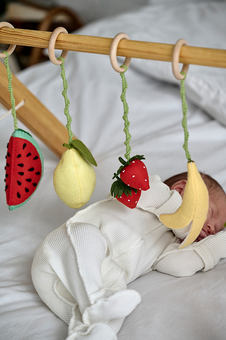 Детский тренажер WoollyFox 