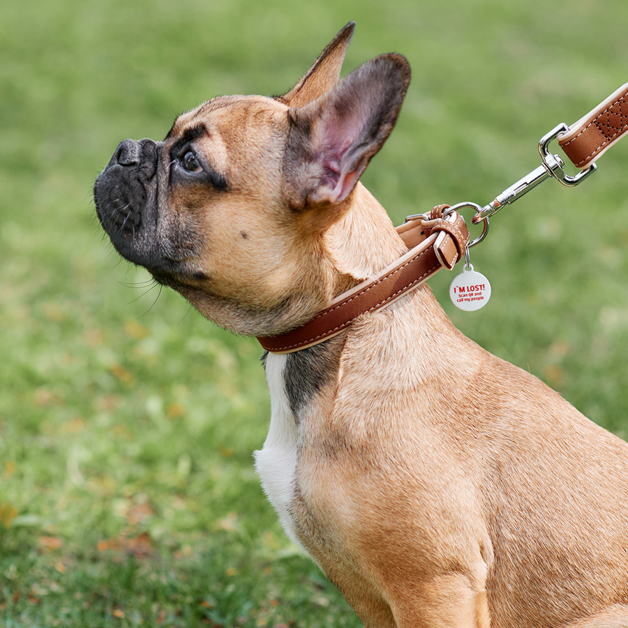 Нашийник для собак шкіряний WAUDOG Soft з QR паспортом, Ш 15 мм, Дов 27-36 см коричневий Коломыя - изображение 5