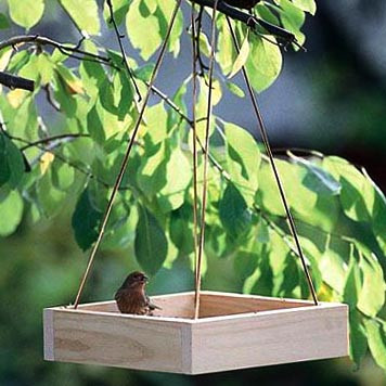 Годівниця для птахів "Гаїчка" бланже Миколаїв - фото 1