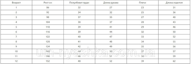 Вишиванка для хлопчика "Тарас" червона Кривий Ріг - фото 4